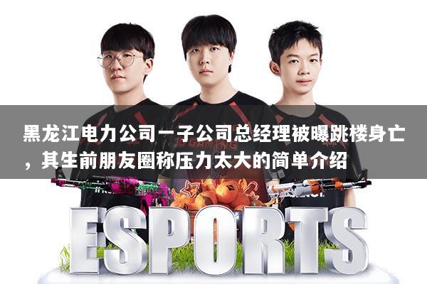 黑龙江电力公司一子公司总经理被曝跳楼身亡，其生前朋友圈称压力太大的简单介绍
