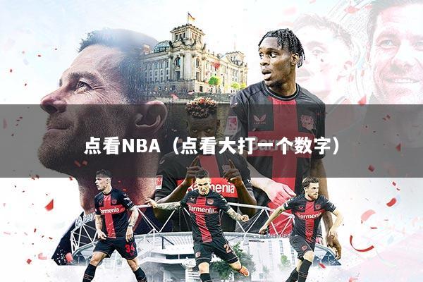 点看NBA（点看大打一个数字）