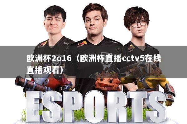 欧洲杯2o16（欧洲杯直播cctv5在线直播观看）