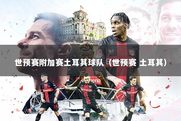 世预赛附加赛土耳其球队（世预赛 土耳其）