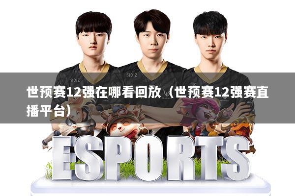 世预赛12强在哪看回放（世预赛12强赛直播平台）